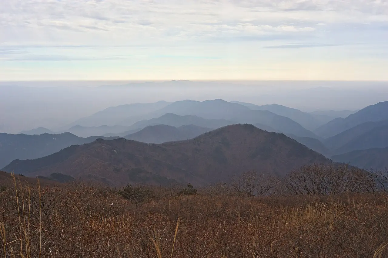 Đồi đỗ quyên Biseulsan — Daegu