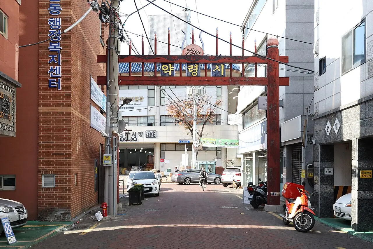Chợ thuốc bắc Yangnyeongsi — Daegu