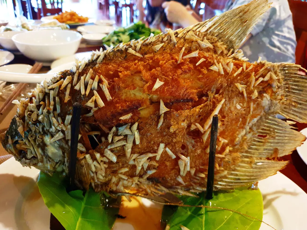 Cá tai tượng chiên xù