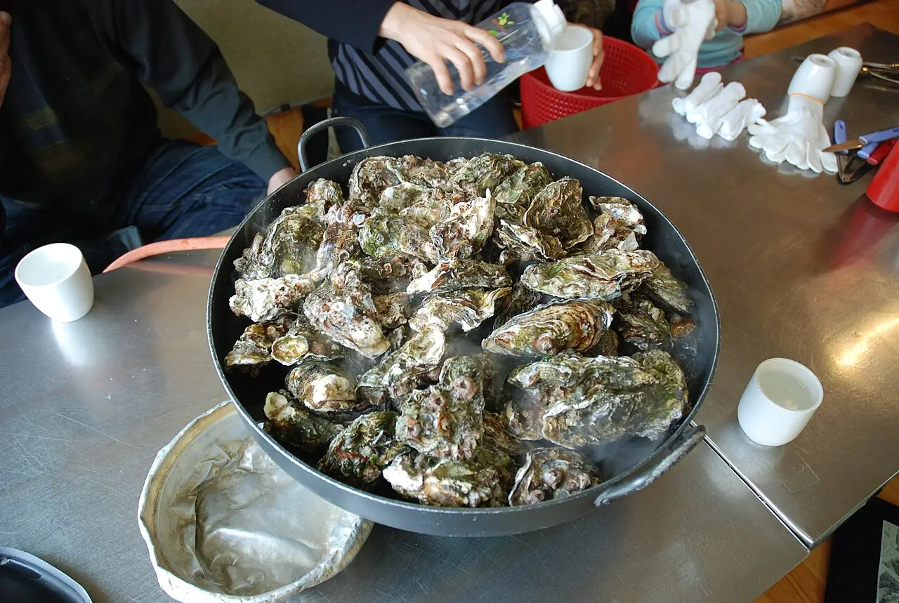 Hàu Tongyeong
