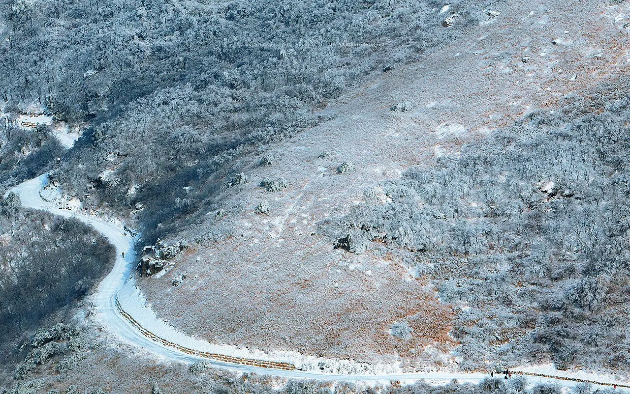 Đèo Ganwoljae & cỏ lau Yeongnam Alps — Ulsan
