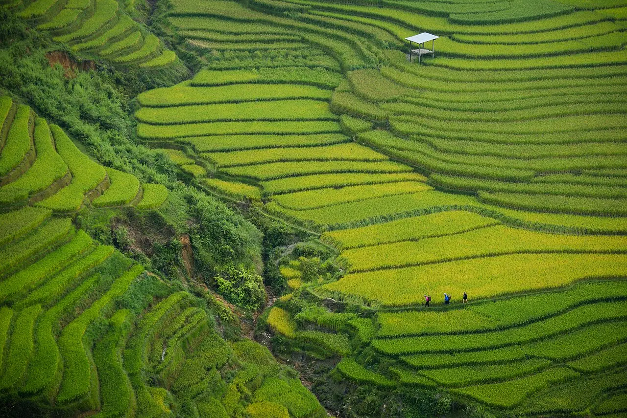 Đèo Khau Phạ — Yên Bái