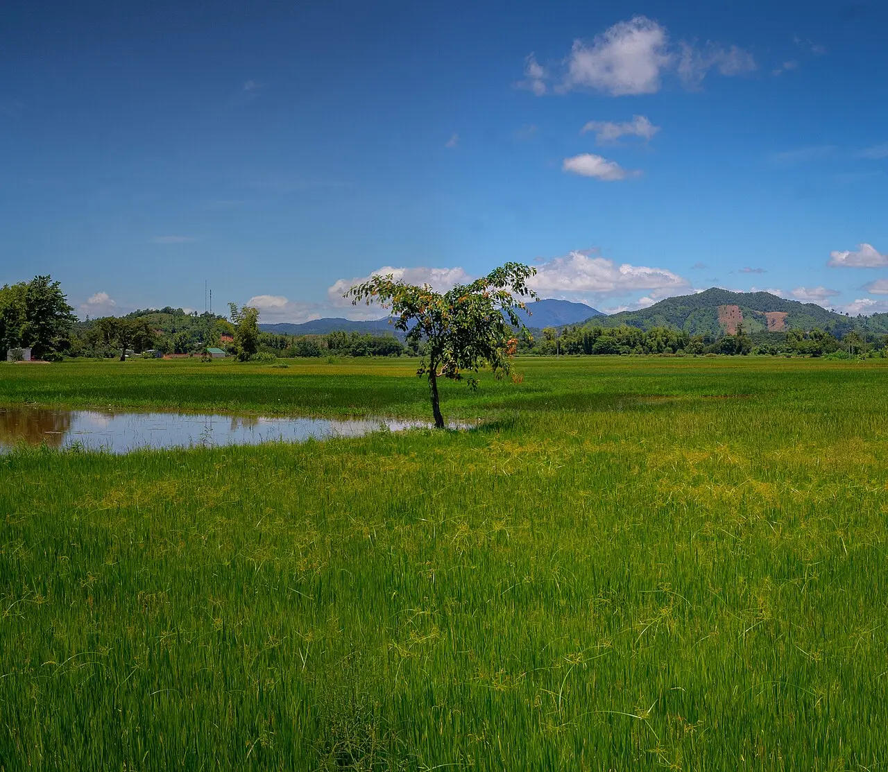 Hồ Lắk — Đắk Lắk