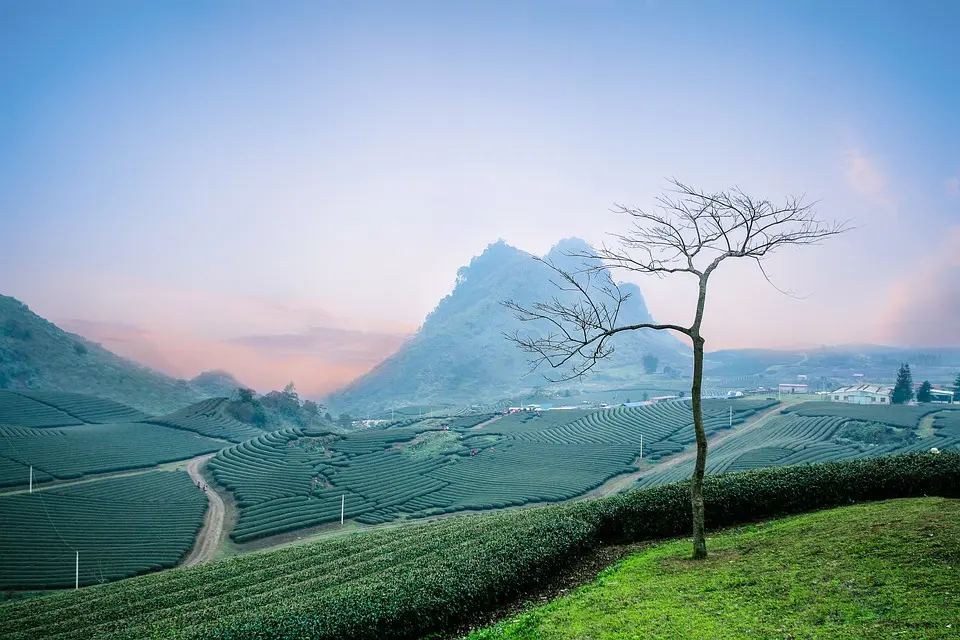 Sơn La — Cao nguyên Mộc Châu