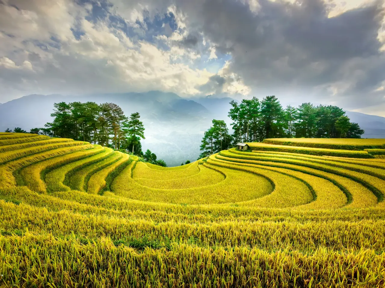 Yên Bái — Ruộng bậc thang Mù Cang Chải