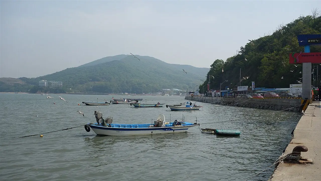 Đảo Muui & bãi Hanagae — Incheon