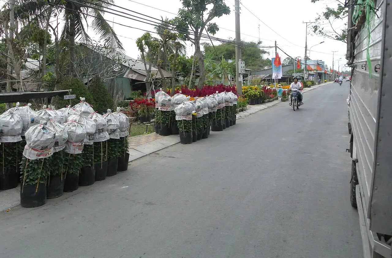 Làng hoa Sa Đéc — Đồng Tháp