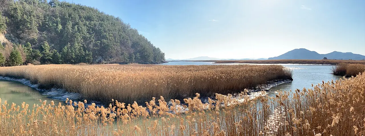 Vịnh Suncheonman — Jeonnam