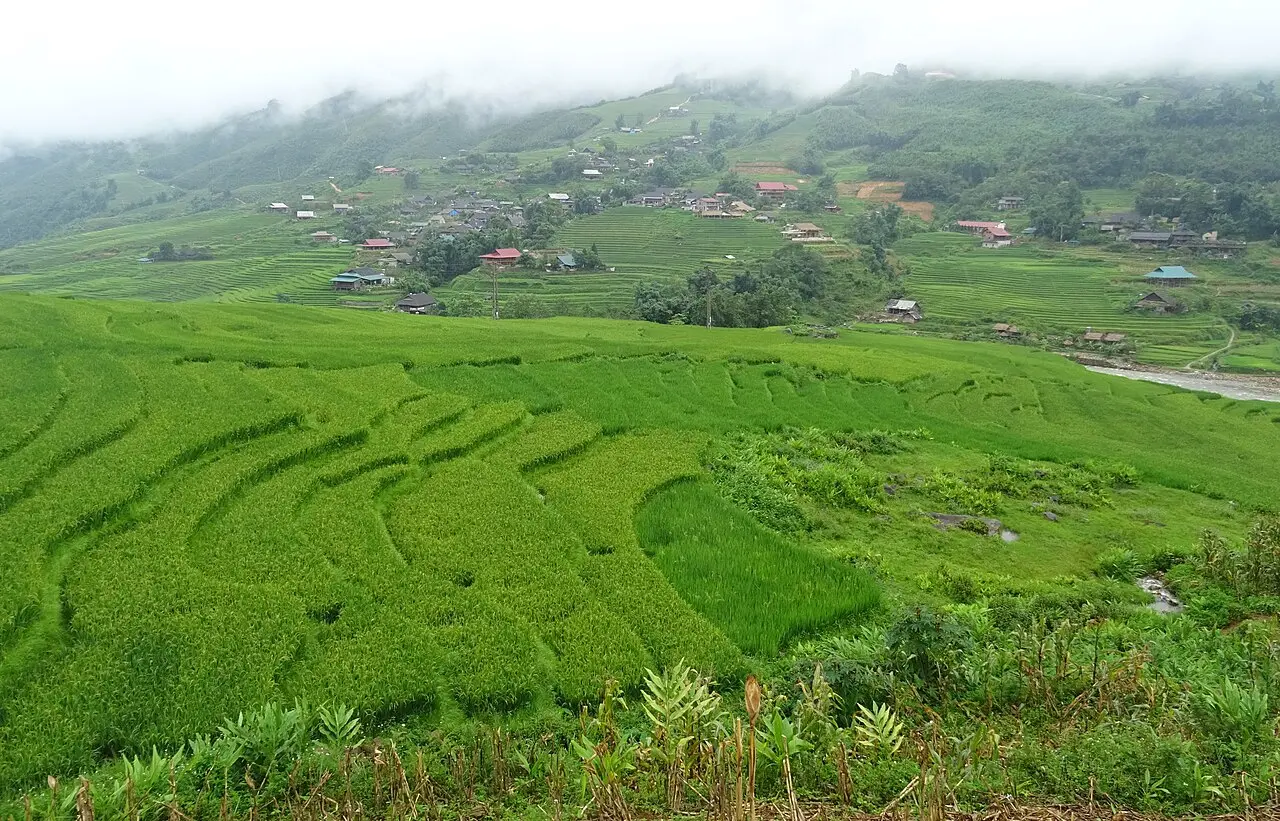 Bản Tả Van — Lào Cai