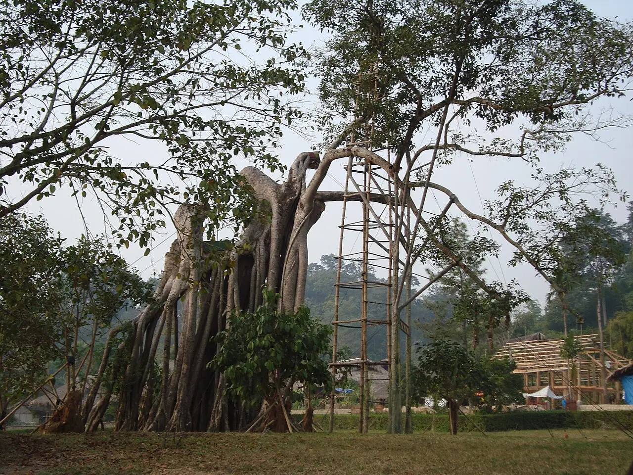 Tuyên Quang — Khu di tích Tân Trào