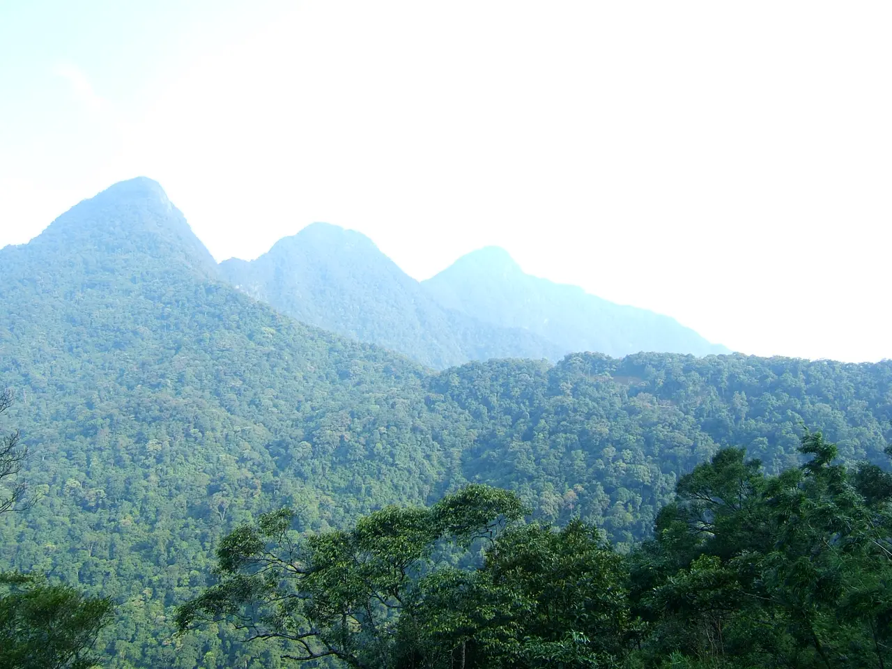Vĩnh Phúc — Tam Đảo