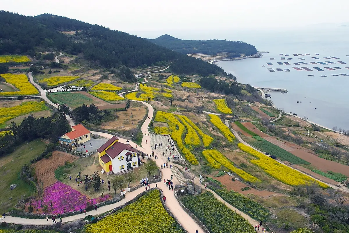 Đảo Cheongsando (Wando) — Jeonnam