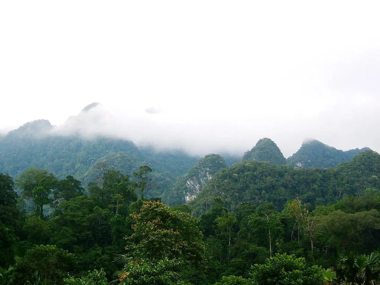 Vườn quốc gia Xuân Sơn — Phú Thọ