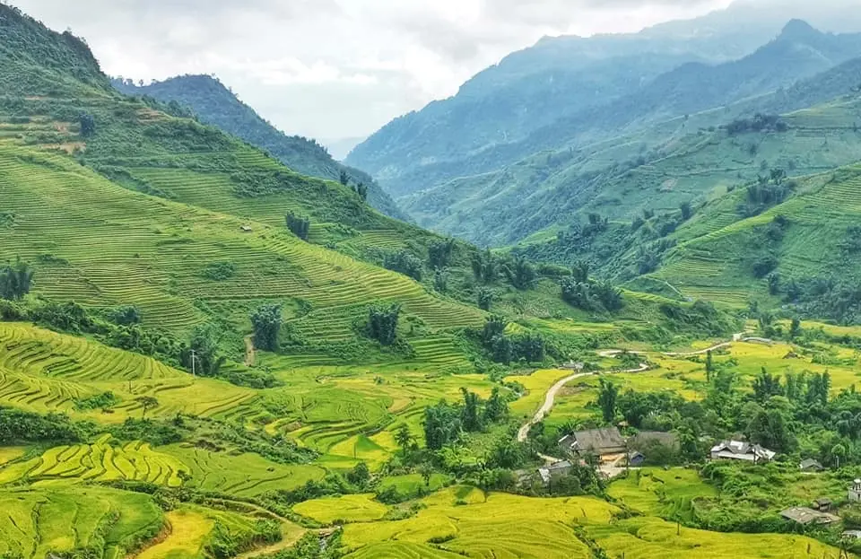 Y Tý — Lào Cai